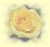 Logo Kosmetik- & Wellness-Studio Margot Wirth