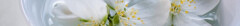 Logo Kosmetikstudio Augenblick