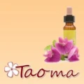Logo Kosmetikstudio Taoma - Kornelia Kirchge&szlig;ner