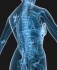 Logo Krankengymnastik, Osteopathie Thomas Ingo