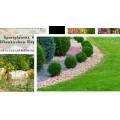 Krasniqi Gartenbau und Landschaftsbau H&ouml;henkirchen-Siegertsbrunn