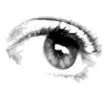 Logo Krepela Fotografie und Mediendesign