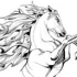 Logo Kreutzfeldt Tim Ponyclub