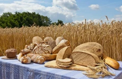 Logo K&uuml;nz G&uuml;nter B&auml;ckerei und Konditorei