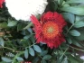 Logo Kuhlmann GbR Blumenhaus