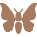 Logo Eduard Kupfer N&auml;hseidenfabrik GmbH & Co. KG