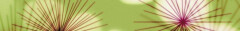Logo Kurpark Hörgeräte