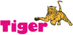 Logo Kurschildgen GmbH Hebezeugbau