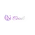 Logo L&N Chauffeur-/ Limousinenservice
