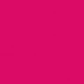 Logo Lady Center Freiberg