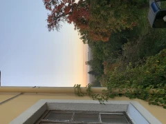 Landhotel Seminarhaus Gut Frohberg Inh. Rudolf Schwarzmüller u. Anne Wich Käbschütztal