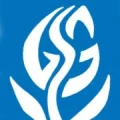 Logo Geschwister-Scholl-Gymnasium