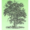 Logo Landschaftspflege Hannappel