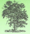 Logo Landschaftspflege Hannappel, Tina Bast