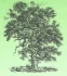 Logo Landschaftspflege Hannappel Tina Bast