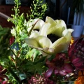 Lanz Angela, Angelique Floristik & Ambiente Floristikfachgesch&auml;ft Erfurt