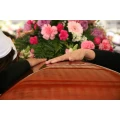 Lanz GmbH Simmertal