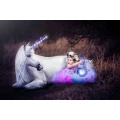 Laura Stoll Photography Halle