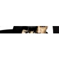 Logo Le Figaro O. Scheimann