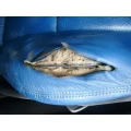 Logo Leather Magic World