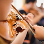 Lebendige Streicherschule Musikunterricht Stegaurach