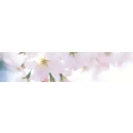 Logo Lebens- und Bach-Bl&uuml;ten-Beratung