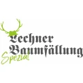 Lechner Baumf&auml;llung Valley