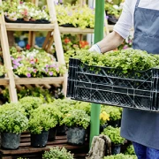 Leiminer hat Ideen-Großhandel für Floristen u. Deko GmbH Gartenfachhandel Pechbrunn