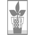 Logo Lenz Gebr. GmbH