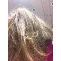 Liebeshaar Friseur Koblenz
