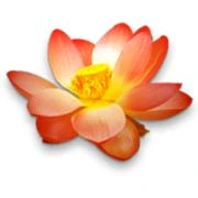 Logo Liebner u. Hochgrebe