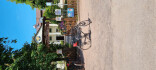 Logo Lierse Frank Schaper-Fahrrad