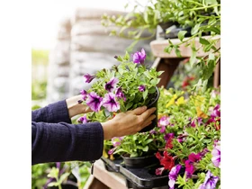 kalk und stickstoff zusammen düngen Rasen- & Gartenkalk kaufen