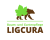 Logo LigCura - Baumpflege