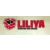 Logo LILIYA Willmer Int. Spedition und Umzüge