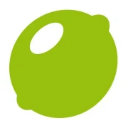Logo Lime Flavour Effendi Heymann Michelfelder Stangl Temming GbR