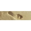 Logo Linda Buder