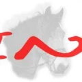 Logo LINUS GmbH