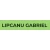 Logo Lipcanu Gabriel