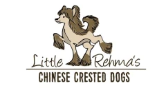 Logo Little Rehma's Chinese Crested Dogs