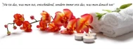 Logo Live Beauty Stefanie Hummel