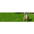 Logo L&ouml;wer, Garten-Baum-Rasen