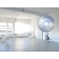 Logo LOFT 506