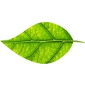 Logo Log5Group GmbH