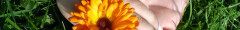 Logo Logopädische Praxis Inh. Karola Henze