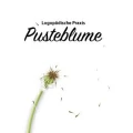 Logo Logop&auml;dische Praxis Pusteblume