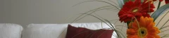 Logo Lothar Volk Matratzenfachgeschäft