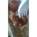 Schweinebaellchen:-(