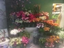 Logo Love & Flowers