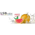 Logo LSBcolor e.K.